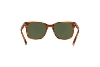 Rückansicht Coach C2095 (HC8313U - 558171)