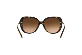 Rückansicht Coach C6180 (HC8320 - 512074)