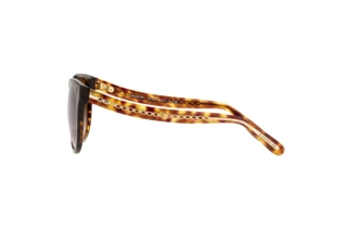 Seitenansicht Coach C6181 (HC8321 - 51203B)