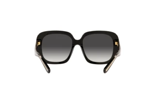 Rückansicht Coach C6185 (HC8323U - 50028G)