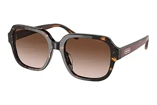 Coach HC8335U 512013 Brown GradientDark Tortoise