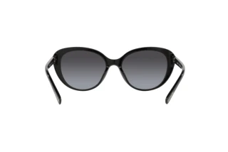 Rückansicht Coach CD479 (HC8348U - 50028G)