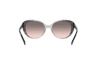 Rückansicht Coach CD479 (HC8348U - 57103B)