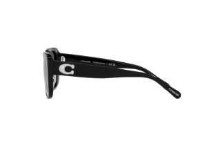 Seitenansicht Coach CD472 (HC8352 - 50028G)