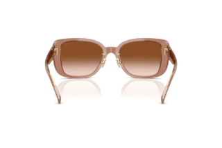 Rückansicht Coach CD472 (HC8352 - 577913)