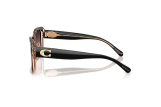 Seitenansicht Coach CD472 (HC8352 - 5781E2)