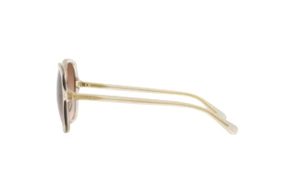 Seitenansicht Coach CH557 (HC8360U - 573613)