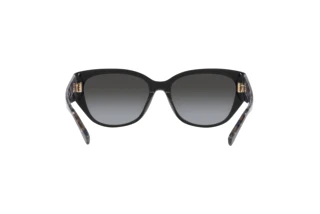 Rückansicht Coach CH563 (HC8362U - 50028G)