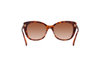 Rückansicht Coach CH566 (HC8365U - 574413)