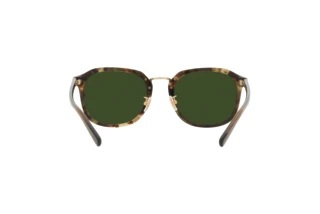 Rückansicht Coach CH577 (HC8366 - 575571)