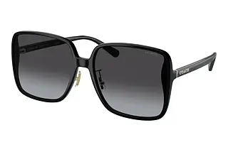 Coach HC8368D 50028G Grey GradientBlack