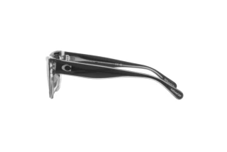 Seitenansicht Coach CH570 (HC8370U - 57458G)