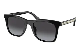 Coach HC8374U 50028G Grey GradientBlack
