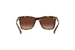 Rückansicht Coach CH561 (HC8374U - 5120T5)