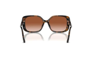 Rückansicht Coach CL929 (HC8376U - 512013)