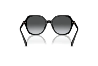 Rückansicht Coach CL925 (HC8377U - 5002T3)