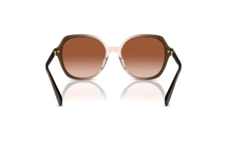 Rückansicht Coach CL925 (HC8377U - 540013)