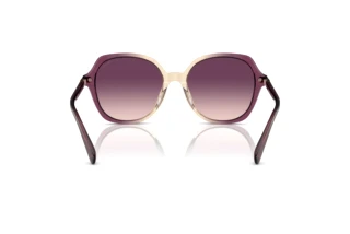 Rückansicht Coach CL925 (HC8377U - 57737W)