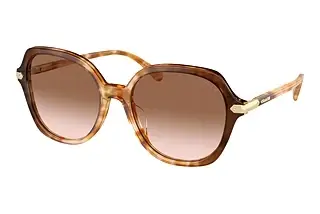 Coach CL925 HC 8377U 57753C
