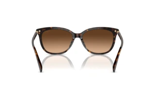 Rückansicht Coach CL926 (HC8378U - 512074)