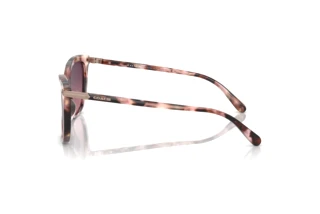 Seitenansicht Coach CL926 (HC8378U - 5528F4)