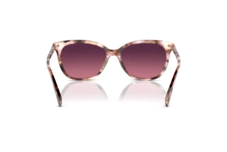 Rückansicht Coach CL926 (HC8378U - 5528F4)