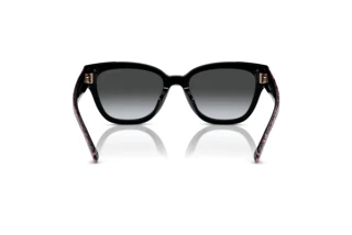 Rückansicht Coach CL920 (HC8379U - 5002T3)