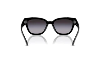 Rückansicht Coach CL920 (HC8379U - 55208G)