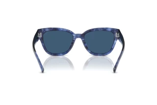 Rückansicht Coach CL920 (HC8379U - 583755)