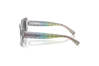 Seitenansicht Coach CL922 (HC8380U - 583587)