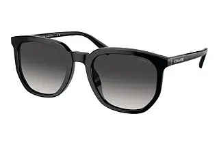Coach HC8384U 50028G Grey GradientBlack