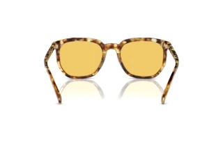 Rückansicht Coach CL911 (HC8384U - 504585)