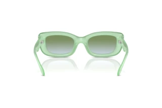 Rückansicht Coach CR610 (HC8390U - 5807I7)