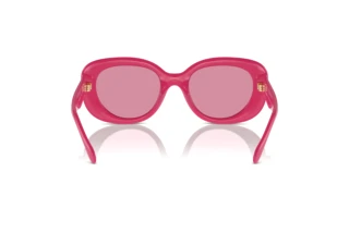 Rückansicht Coach CR609 (HC8391U - 58069L)