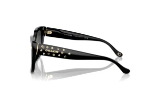 Seitenansicht Coach CR611 (HC8392U - 50023C)