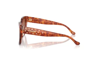 Seitenansicht Coach CR611 (HC8392U - 577413)