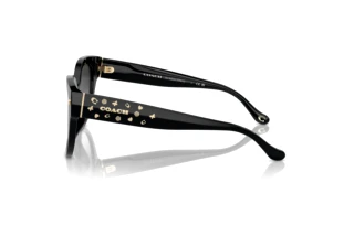 Seitenansicht Coach CR612 (HC8393U - 50023C)