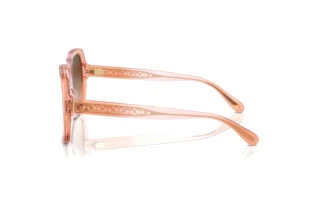 Seitenansicht Coach CR614 (HC8395U - 581274)