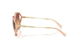 Seitenansicht Coach CR620 (HC8396U - 556178)