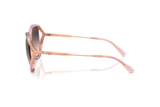 Seitenansicht Coach CR620 (HC8396U - 566646)