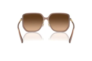 Rückansicht Coach CR635 (HC8401D - 580874)