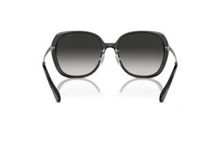 Rückansicht Coach CR636 (HC8403D - 50023C)