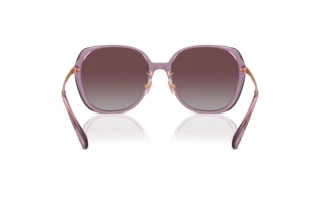 Rückansicht Coach CR636 (HC8403D - 582562)