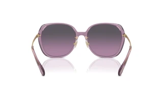 Rückansicht Coach CR636 (HC8403D - 582590)