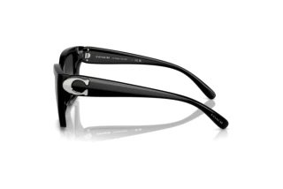 Seitenansicht Coach CW195 (HC8408U - 50023C)