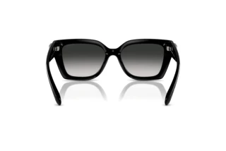 Rückansicht Coach CW195 (HC8408U - 50023C)