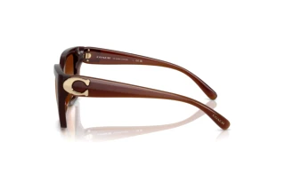 Seitenansicht Coach CW195 (HC8408U - 584174)