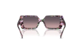 Rückansicht Coach CW224 (HC8409U - 584346)