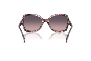 Rückansicht Coach CW225 (HC8410U - 584346)