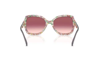 Rückansicht Coach CW225 (HC8410U - 58957W)